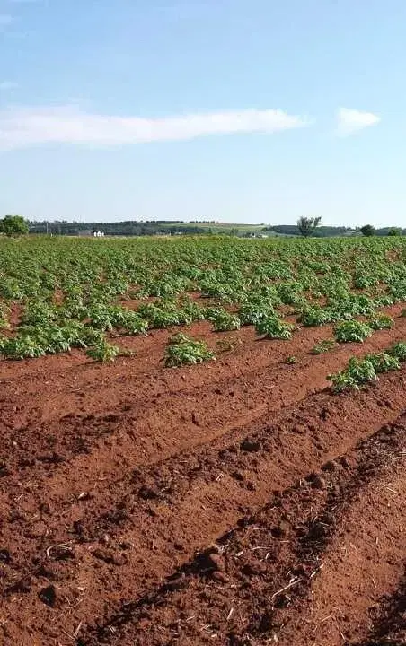 زمین آبی در سد قوچم و روستای قوچم