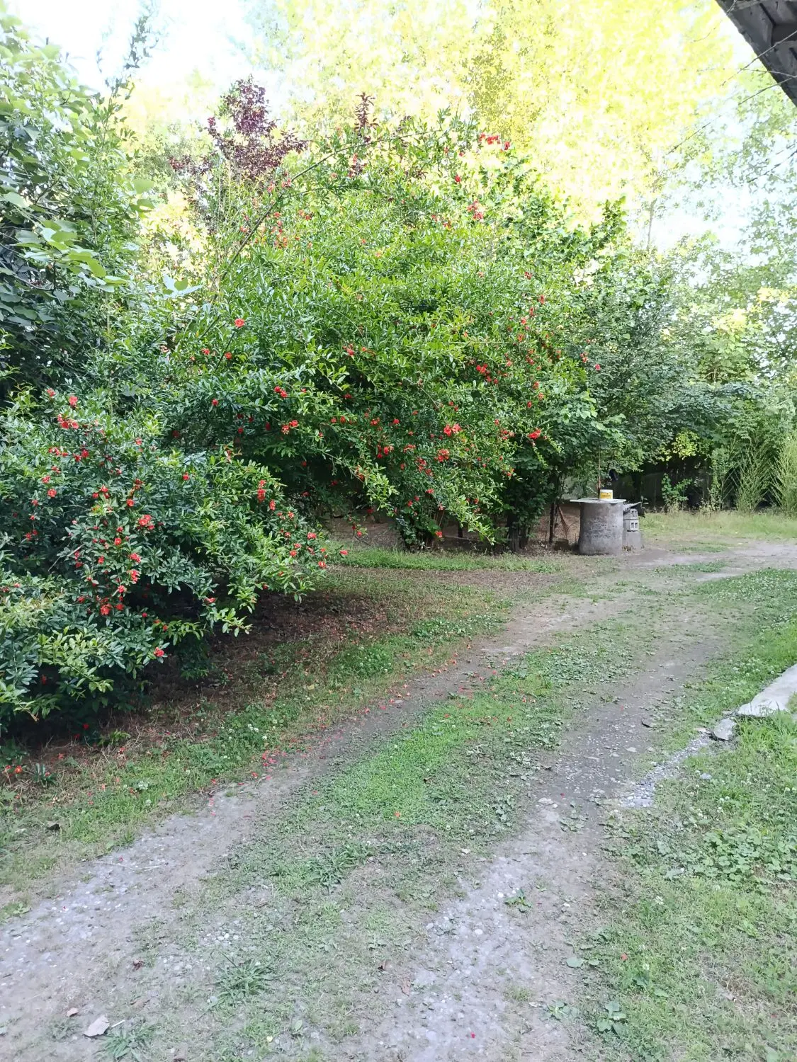 خونه باغ1500متری دنج