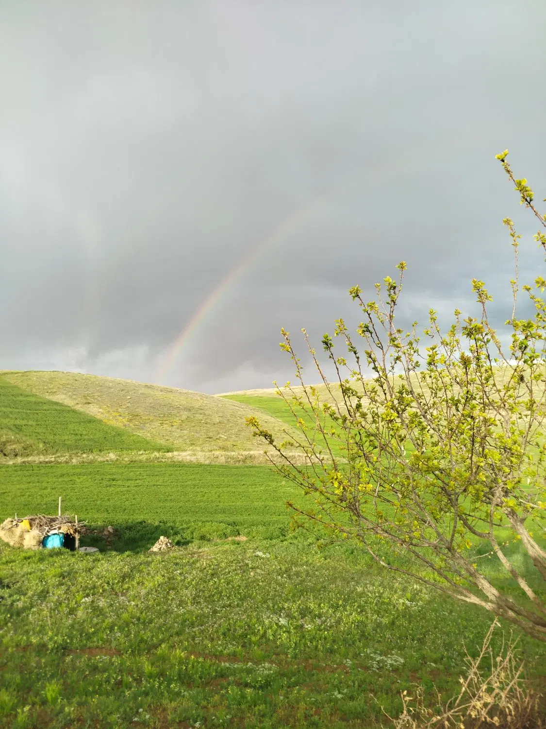 زمین کشاورزی