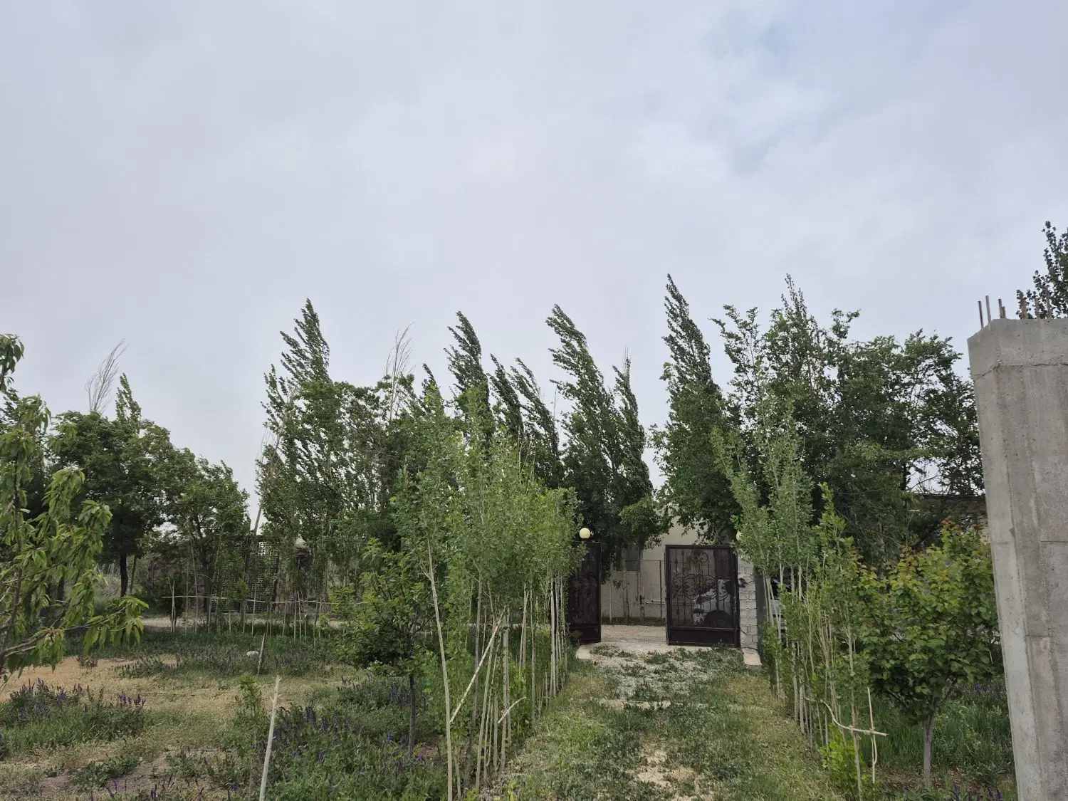 خونه باغ 1000 متری فیروزکوه