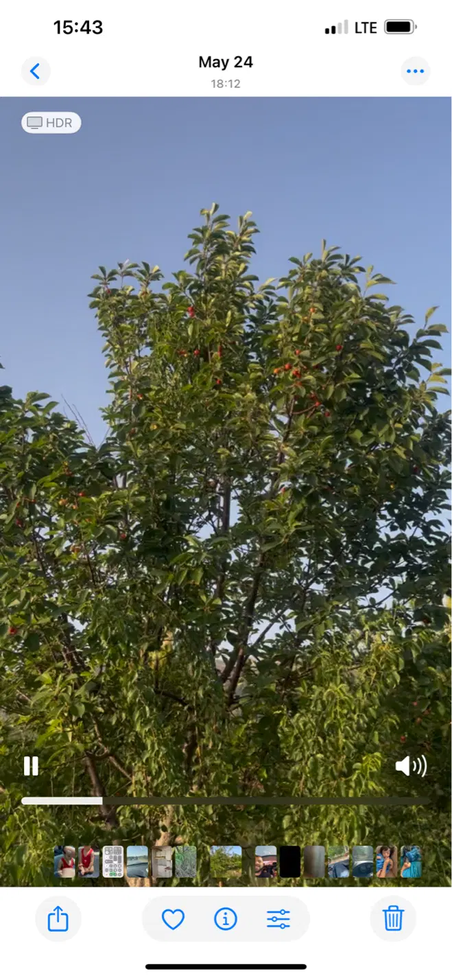 باغ موقعیت عالی با اب و برق بر جاده