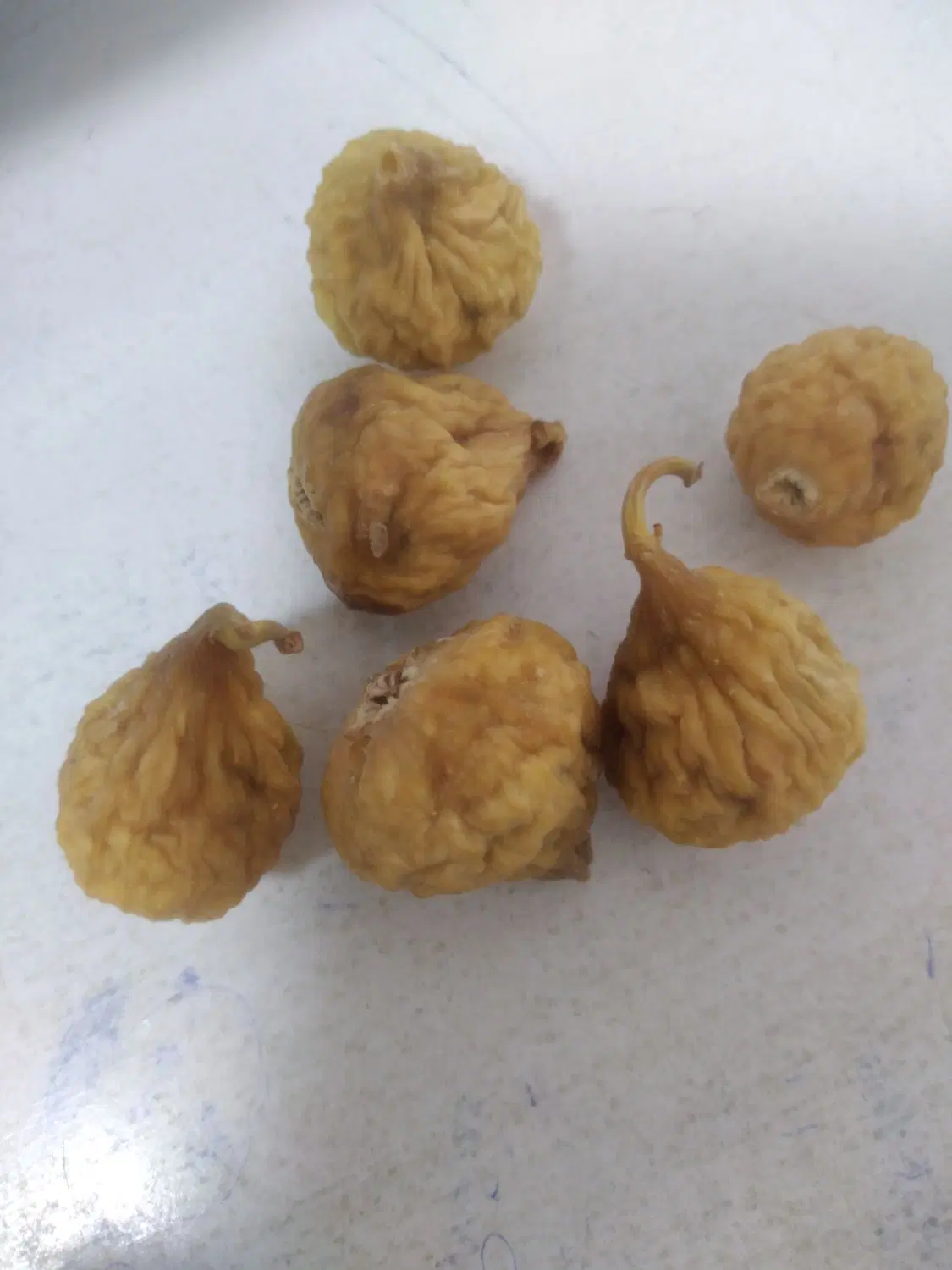 مغازه اجیلی