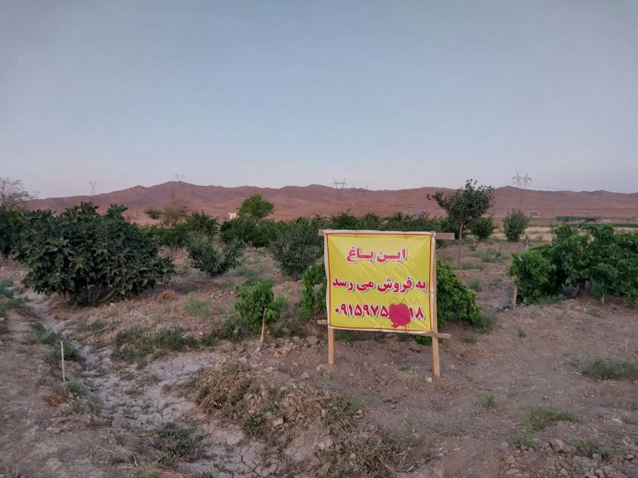 باغ در بوری آباد
