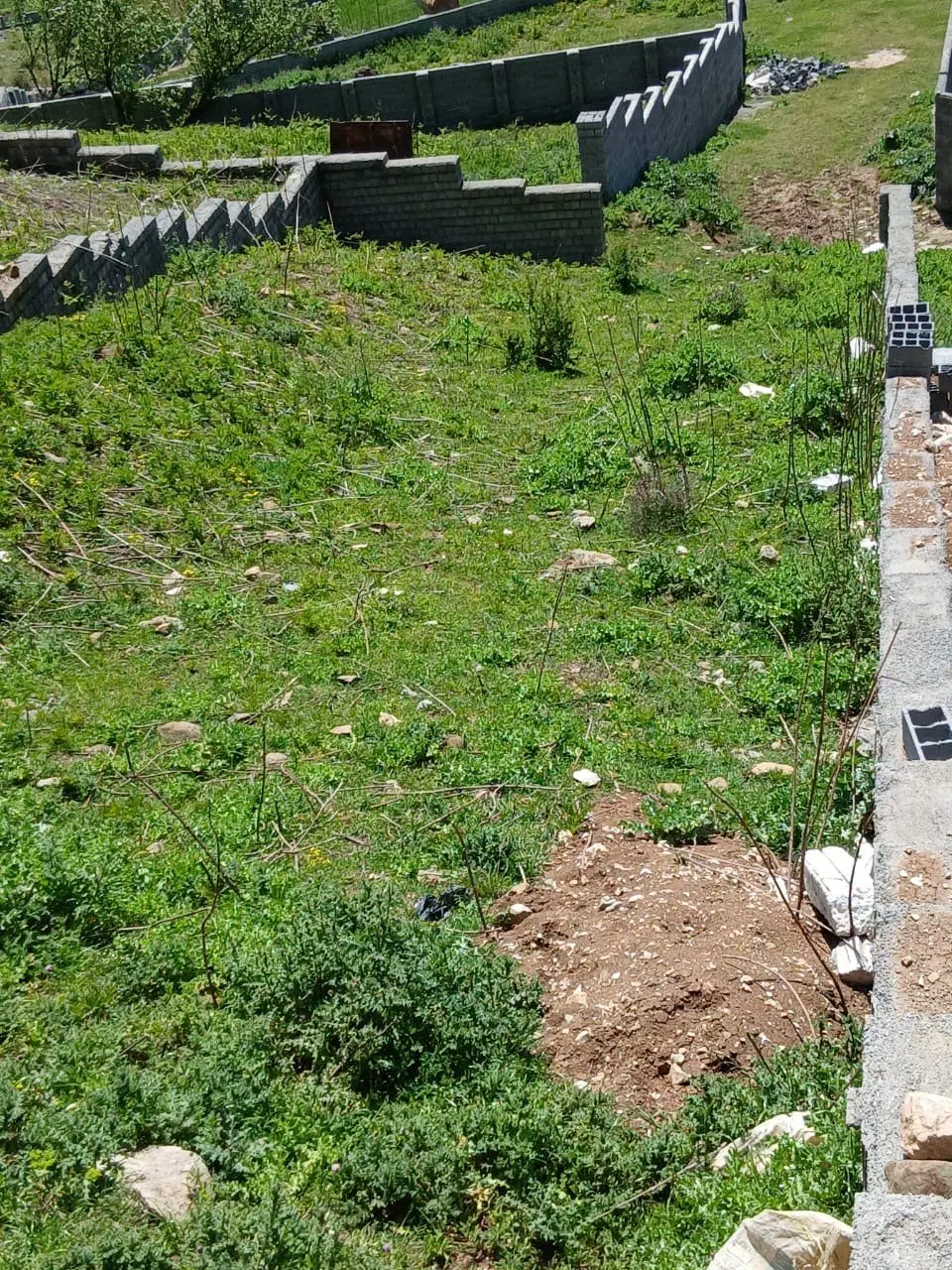 فروش زمین