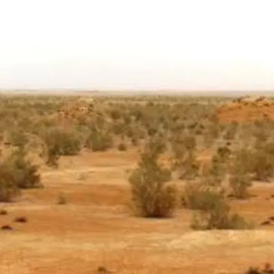 زمین ۲۰۰ متر کمربندی آیت االه سیستانی