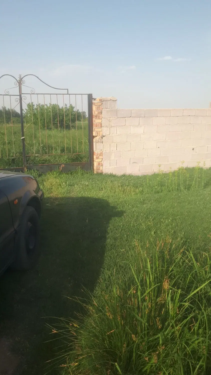 باغچه تازه تفکیک شده