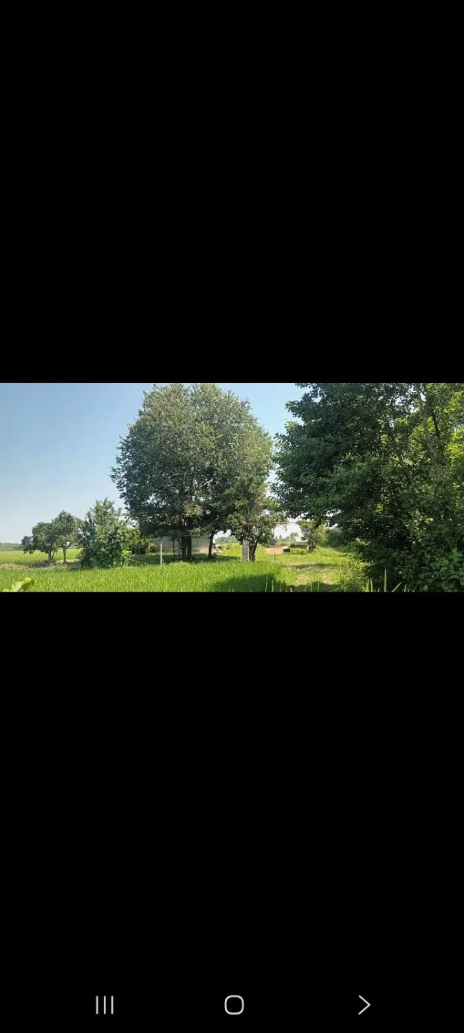 زمین در گوراب زرمیخ روستای تازه اباد