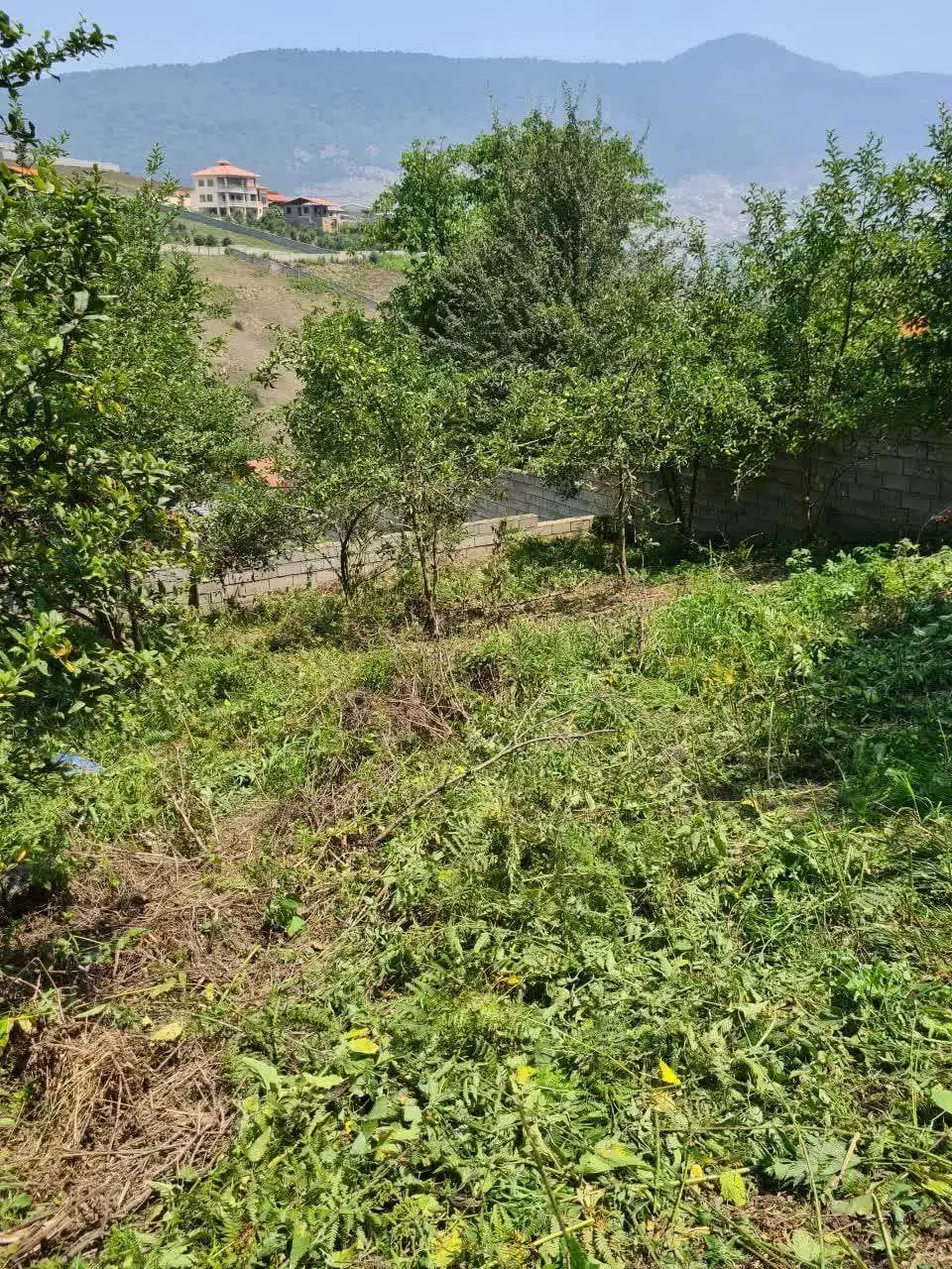زمین مسکونی