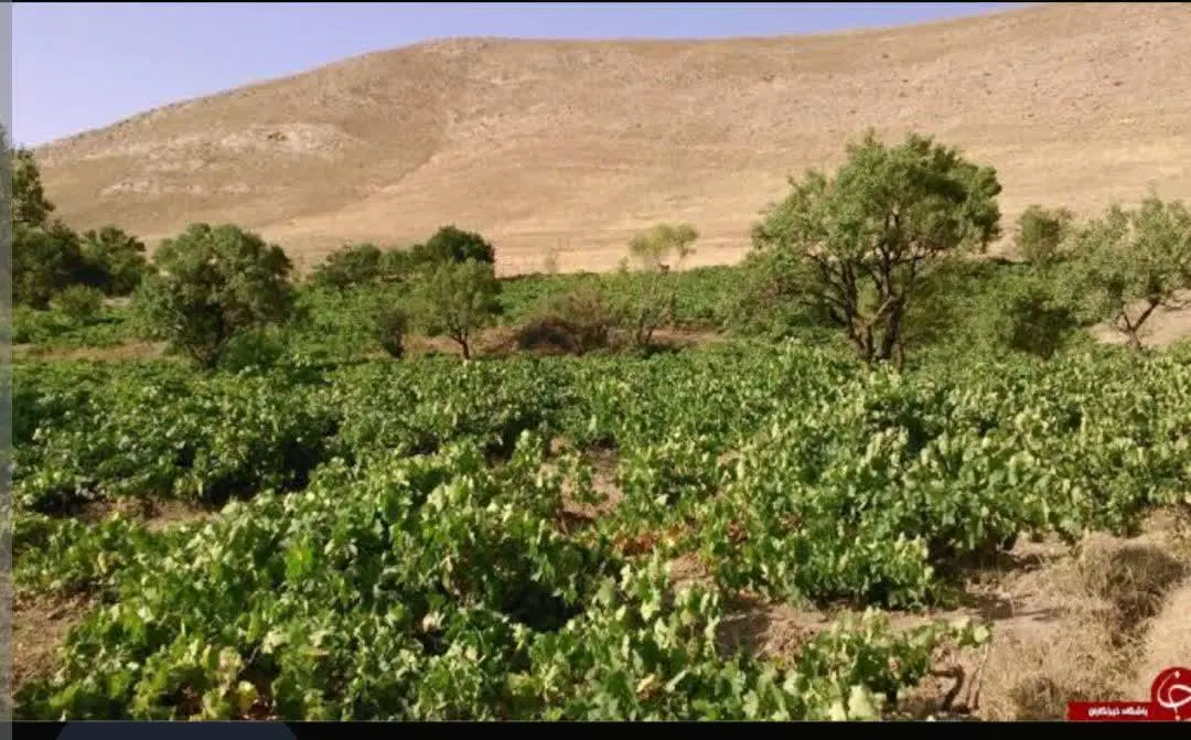 اجاره