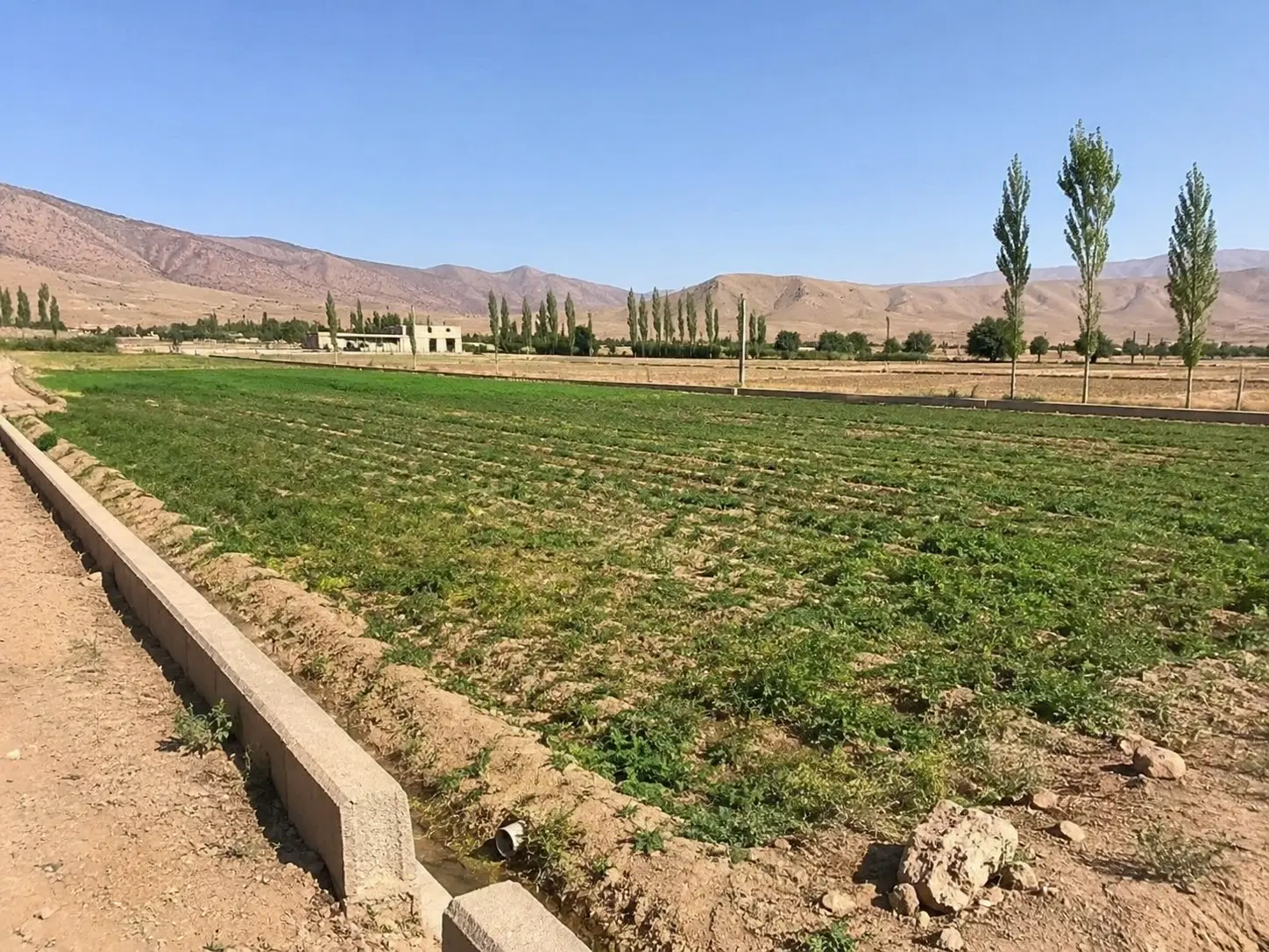 فروش زمین باموقعیت خوب