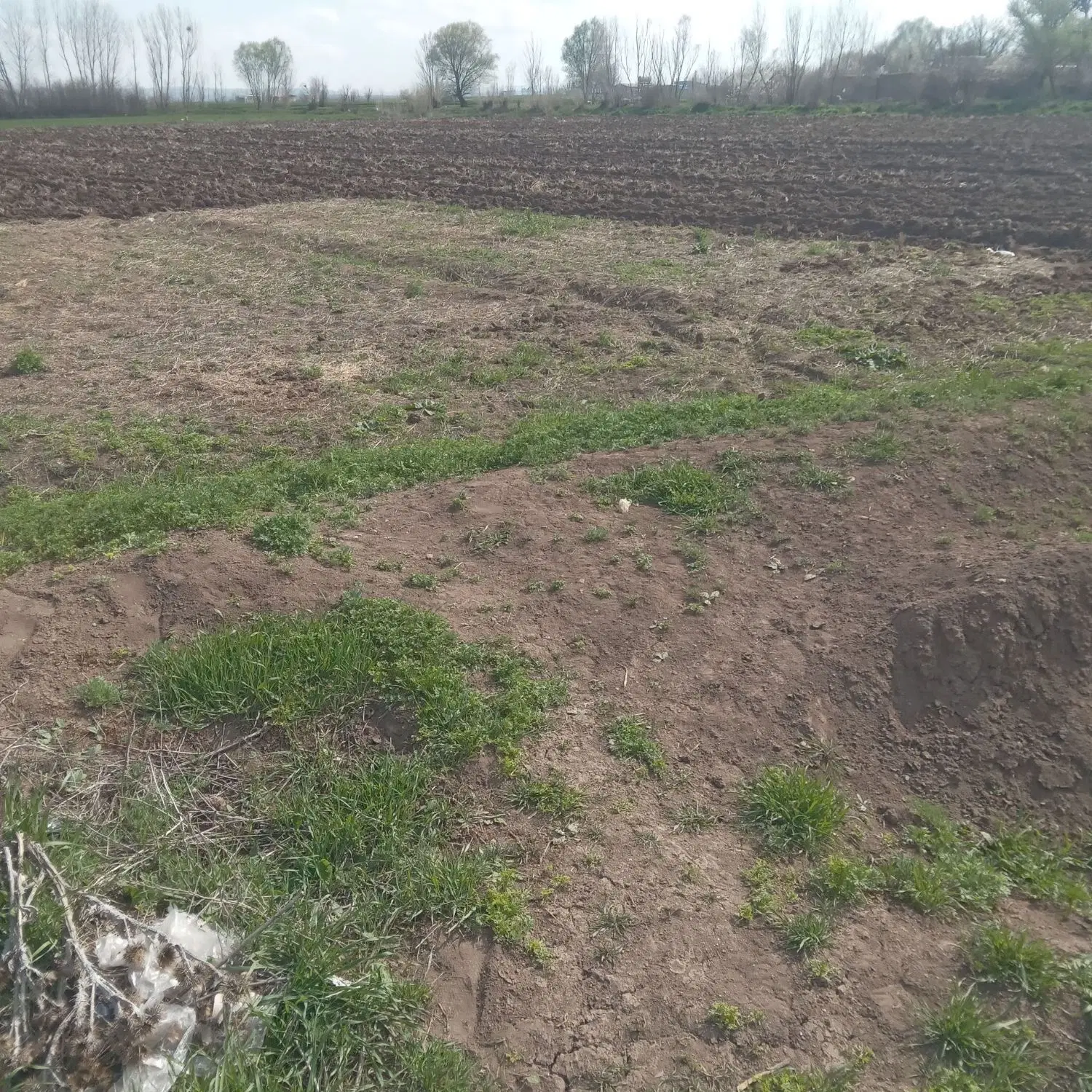 زمین در وسط روستای گرجان 450متر با امتیازات