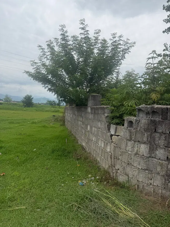 مالفجان مسکونی