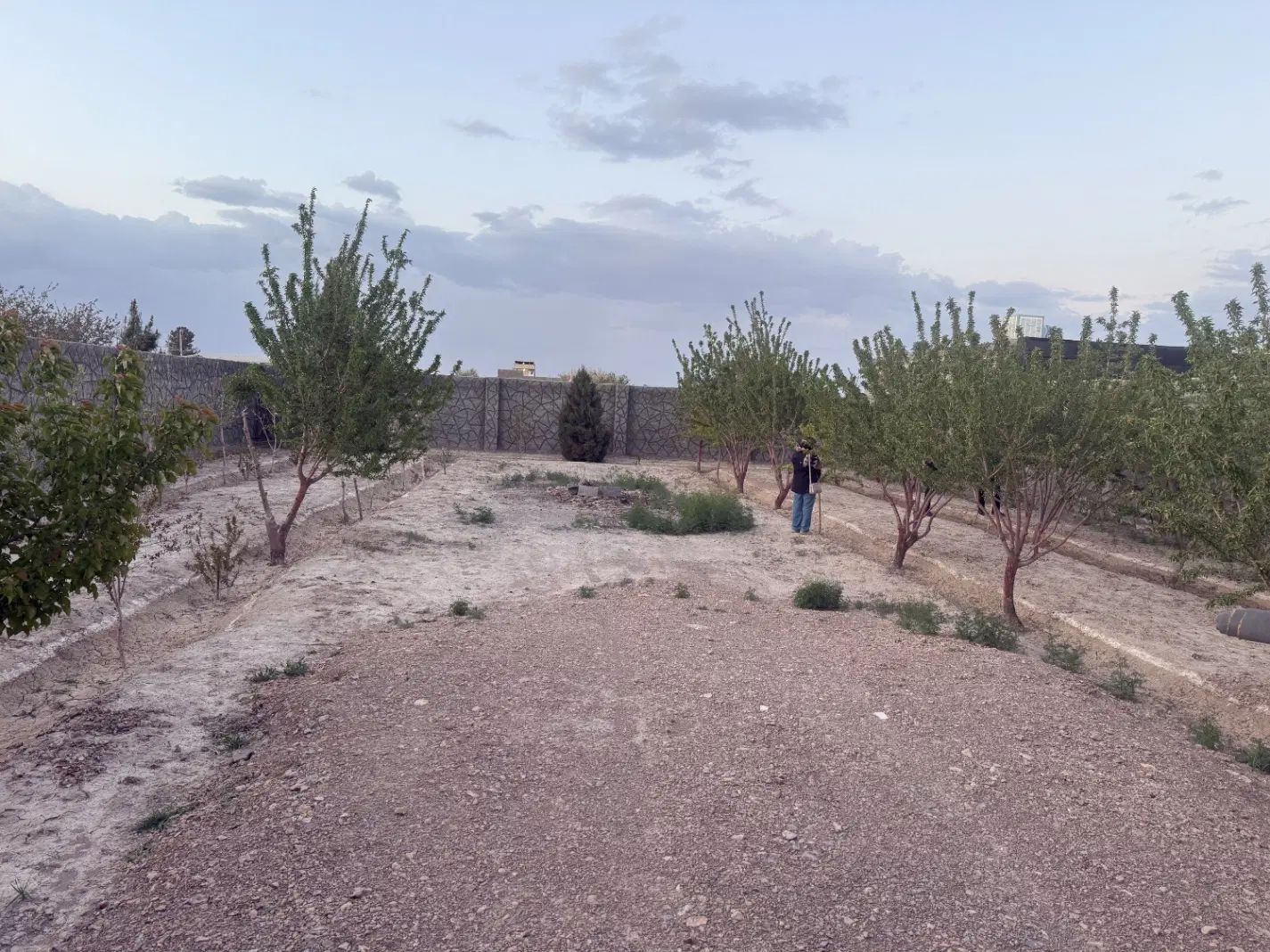 چهاردیواری درروران با درختان میوه در کوچه حاج قدیر