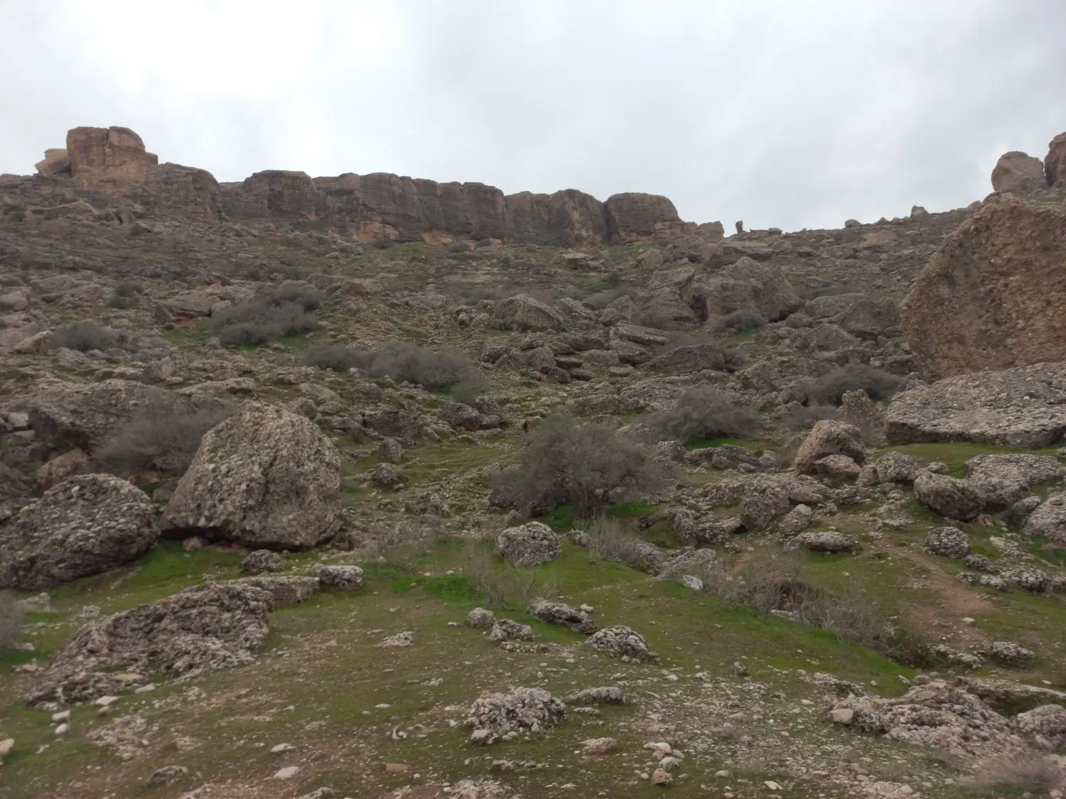 زمین