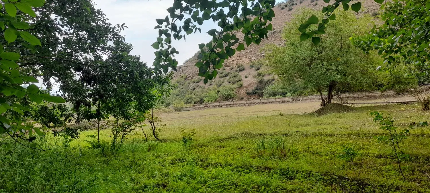 زمین فروشی