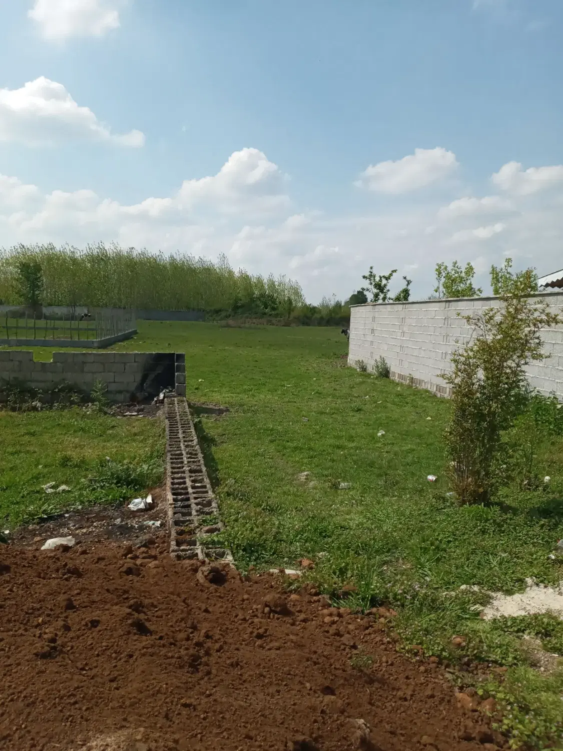 زمین کوهپایه ای درماسال شاندرمن