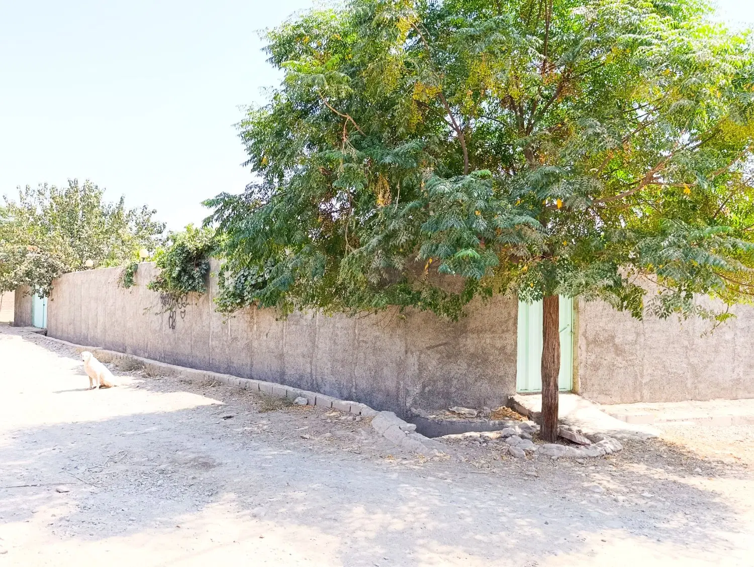 باغچه ویلایی
