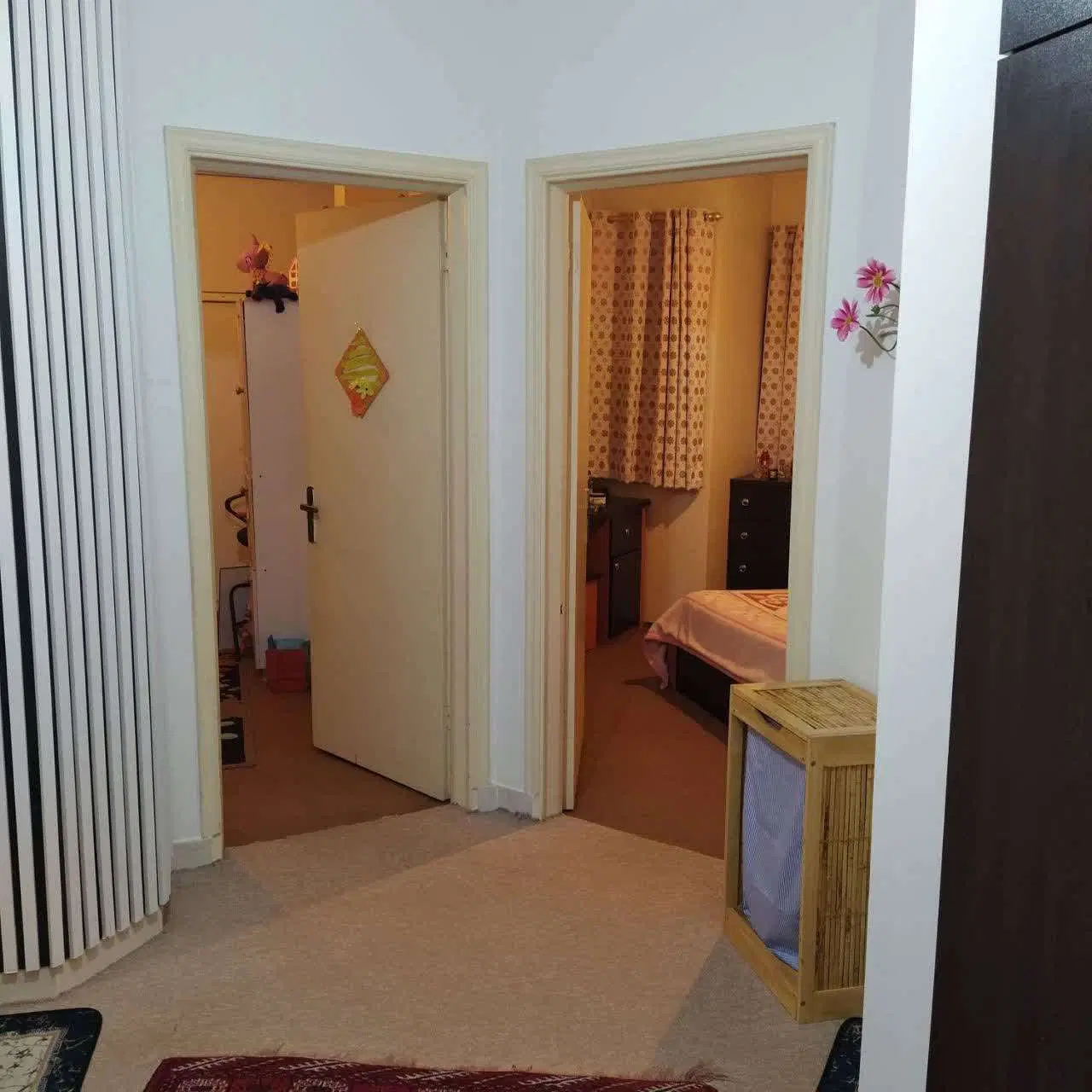 رهن کامل صیاد