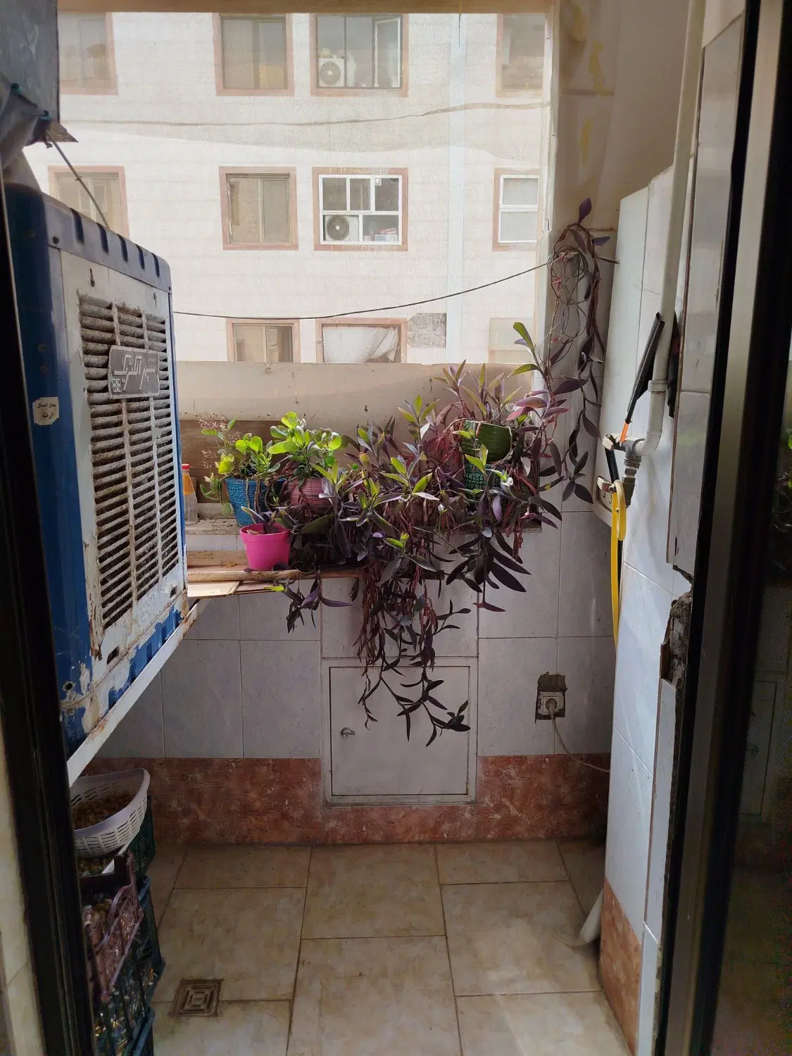 67متر تکخواب عماریاسر