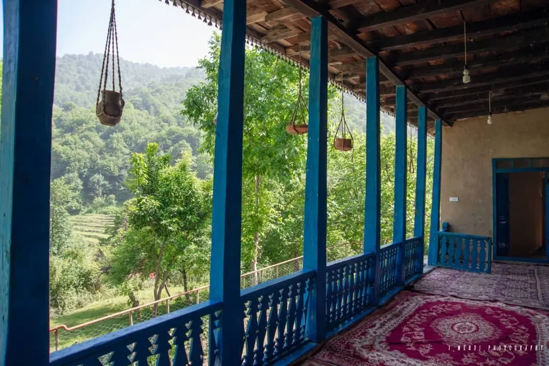 ویلای جنگلی