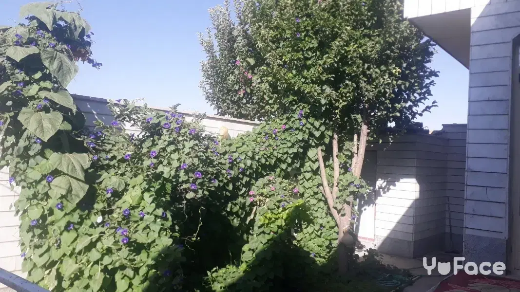 فروش خانه حیاط دار در روستای معموره قیمت توافقی