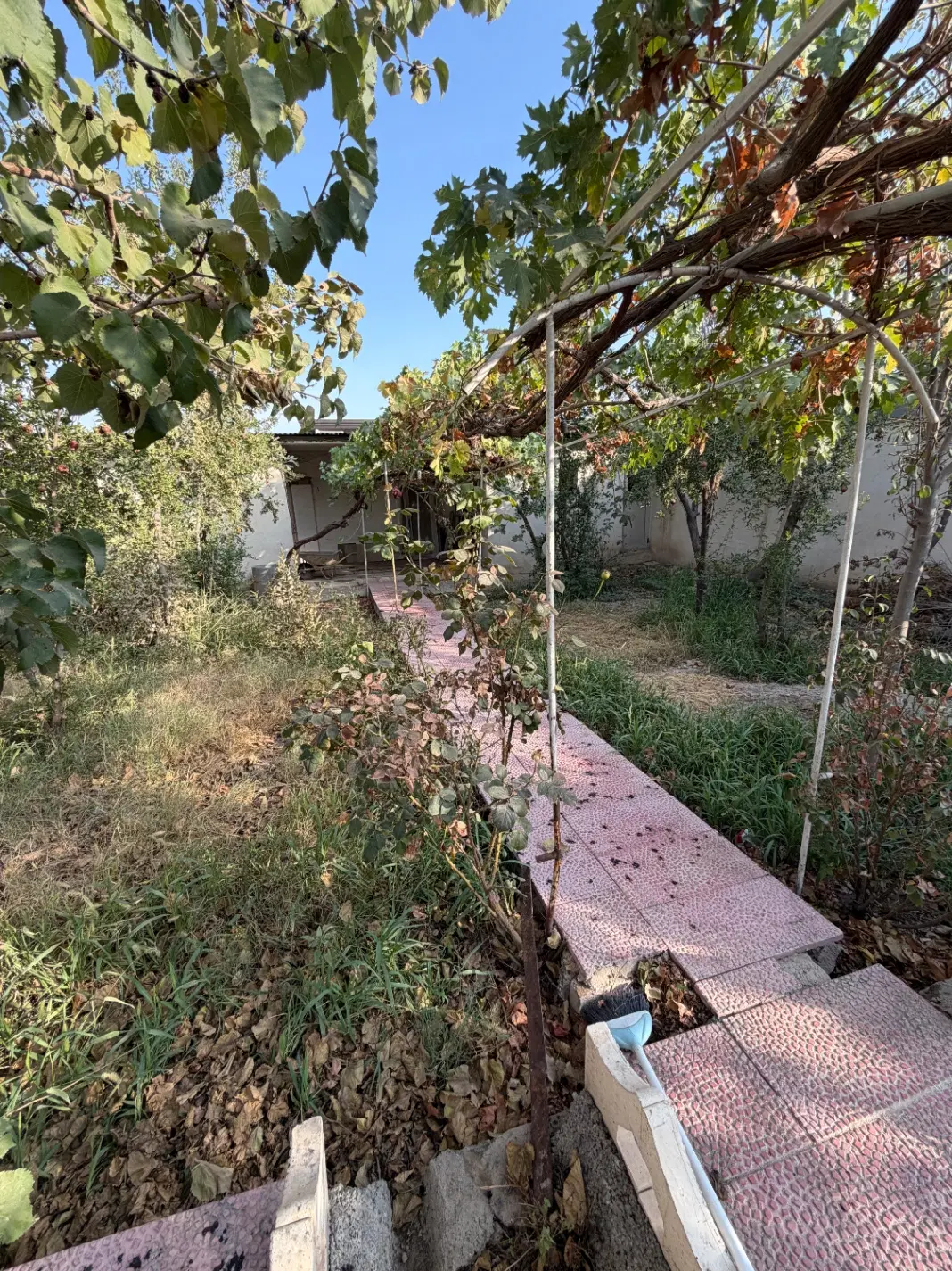 ۳۸۰ متر باغ قدیمی (گلزار)