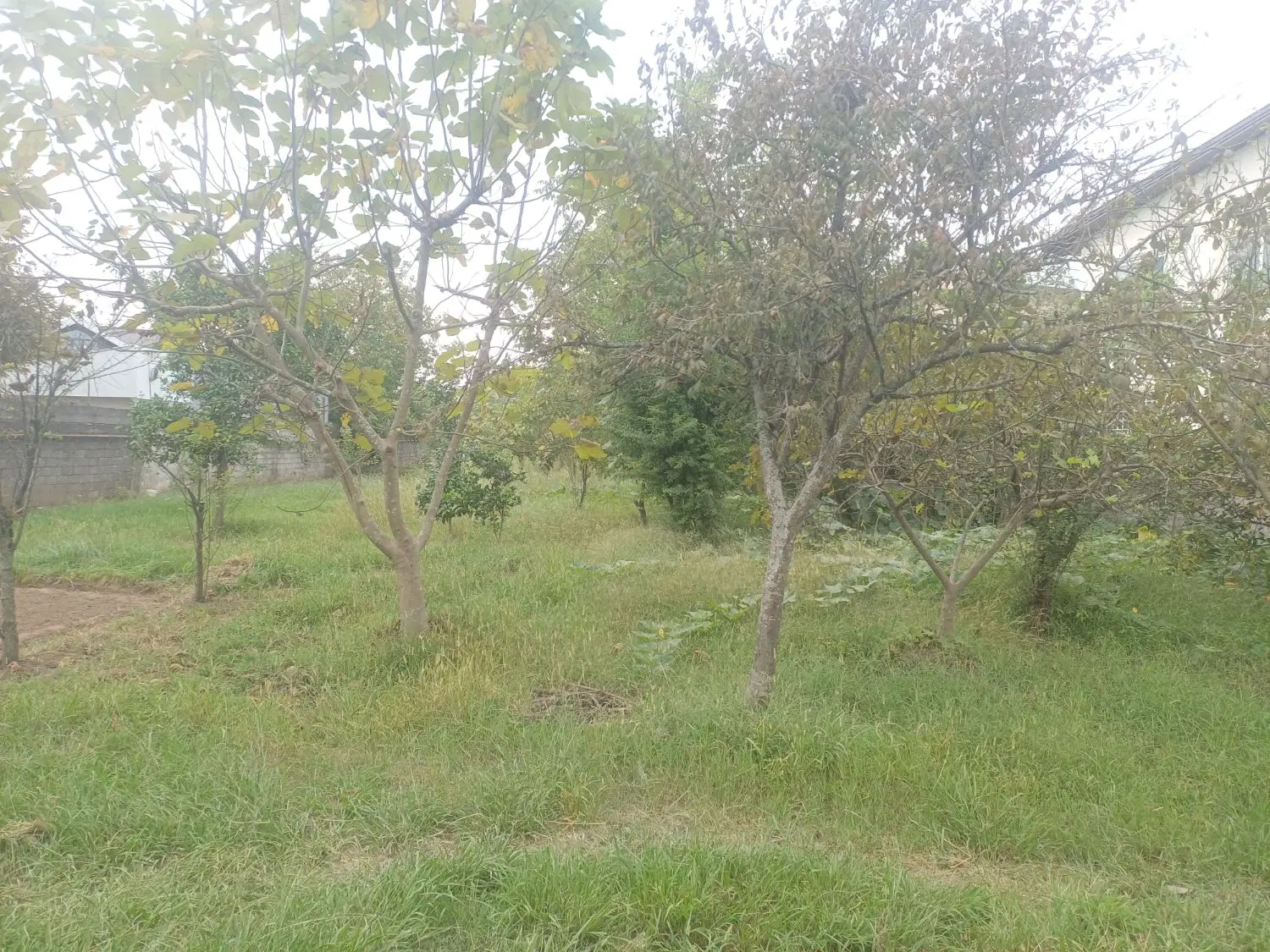 ۱۴۰۰متر خانه و محوطه به همراه استخر ماهی فعال