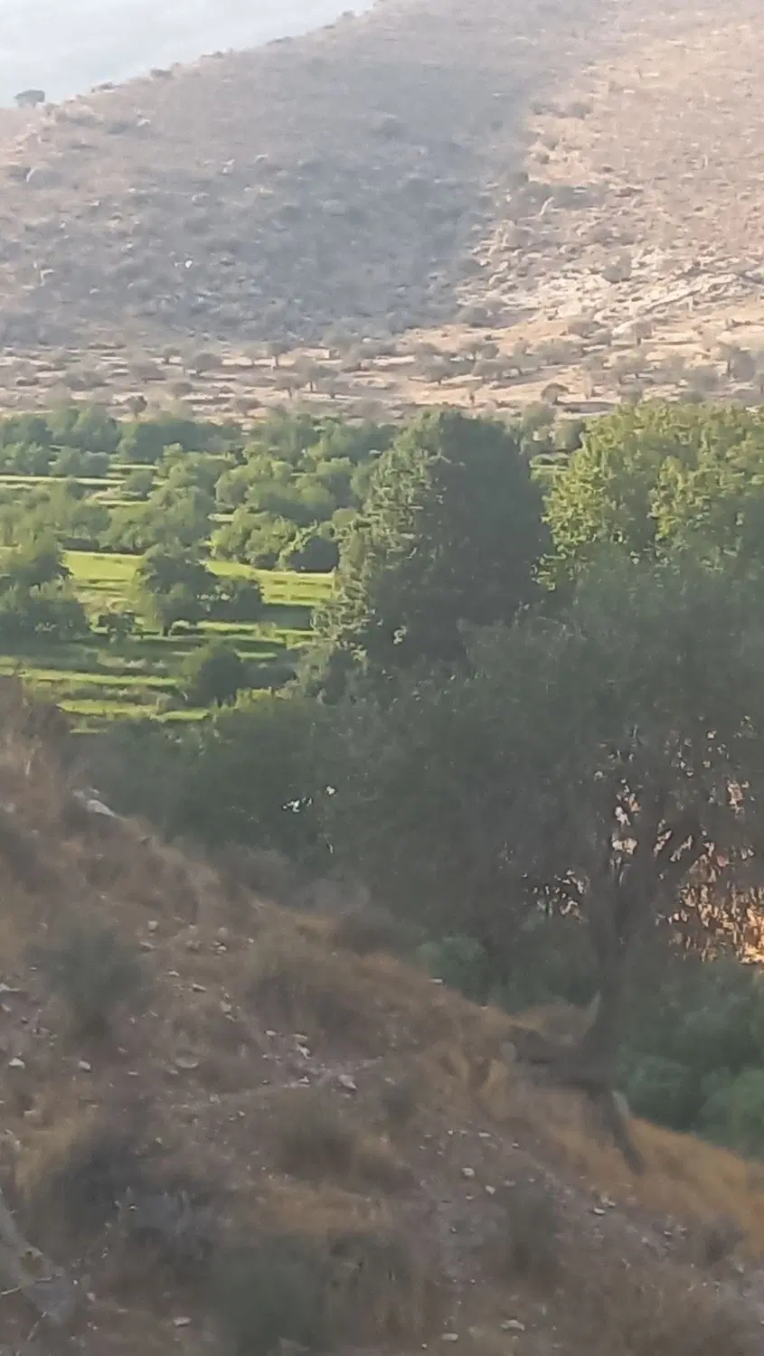 زمین‌خانه‌باغ‌ویلایی