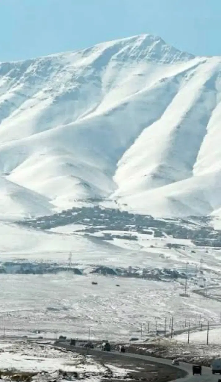 زمین