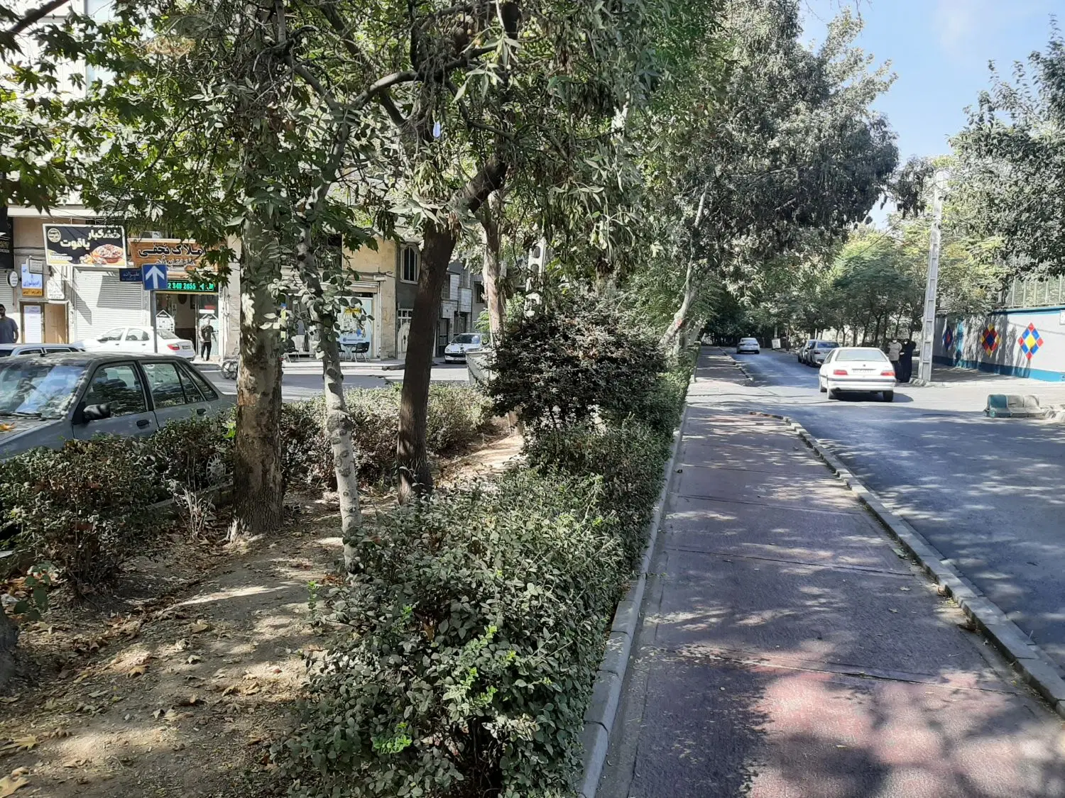 دولت آباد فلکه سوم خیابان جعفری کوچه بیگ محمد