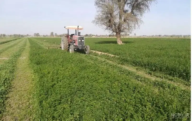 7000 مترزمین کشاورزی جعفر آباد چلیک متری320 تومان