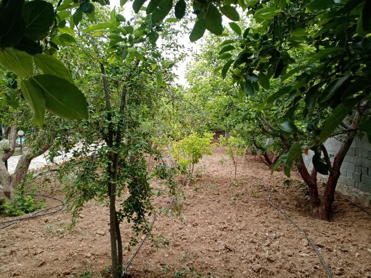 ویلا 1000متری 100متربنا دماوند جابان کنتوربرق