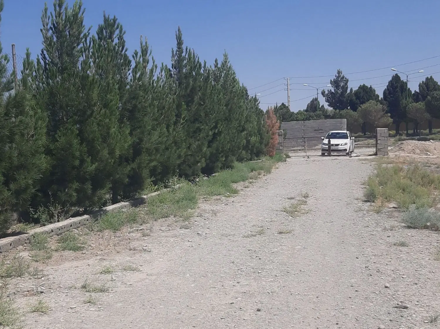 زمین باغی 1000متر