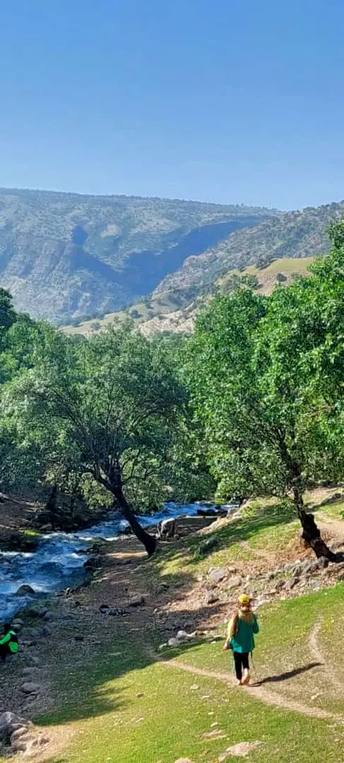 زمین ۵۵۰ متری باغی و درخت میوه ای خارستان