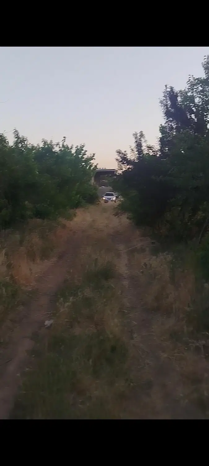باغ اباد