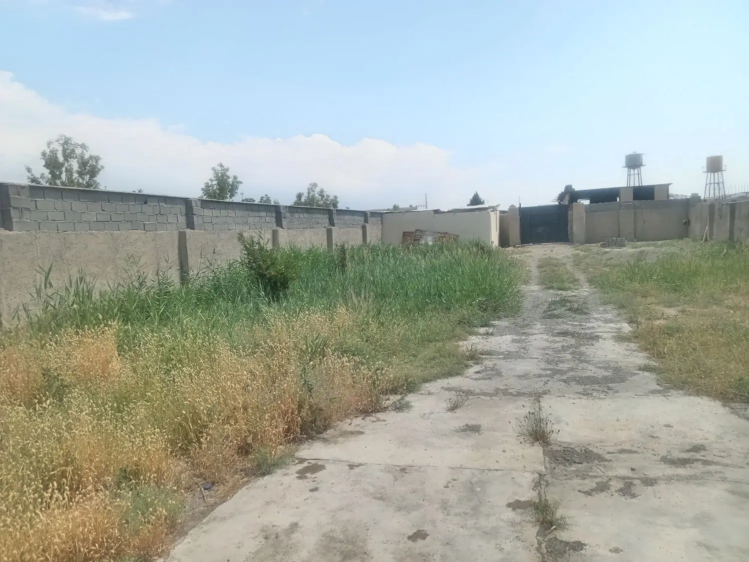 سوله