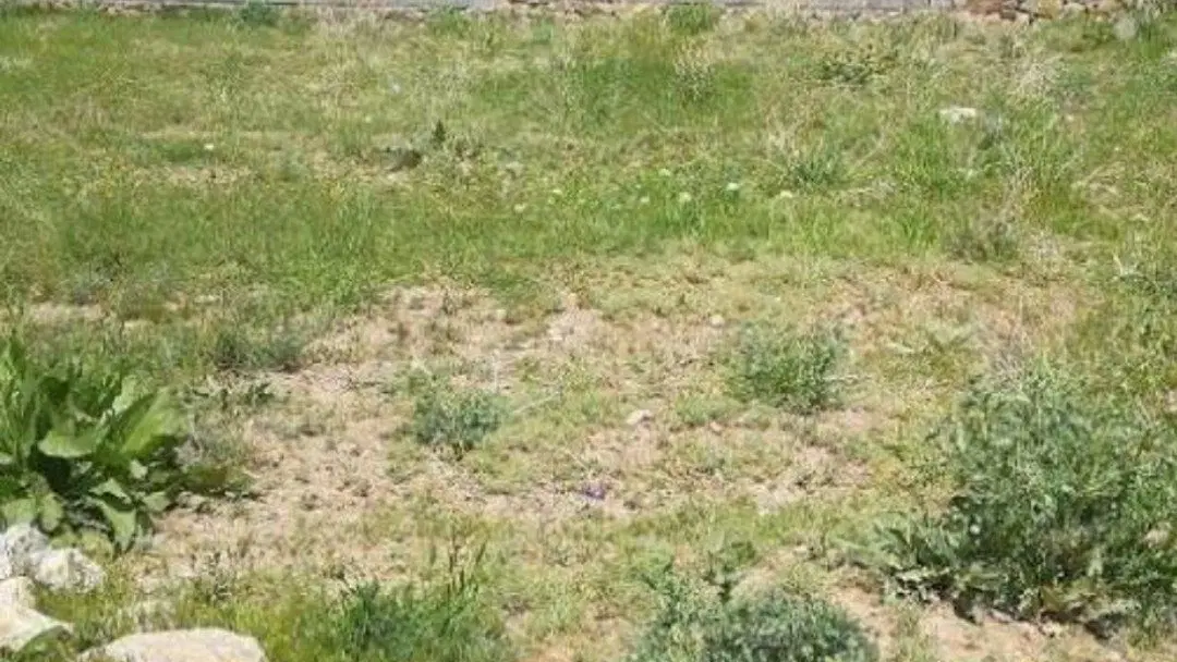 زمین برای ویلا