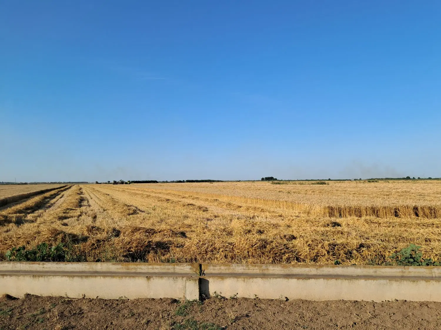 ۲ هکتار زمین
