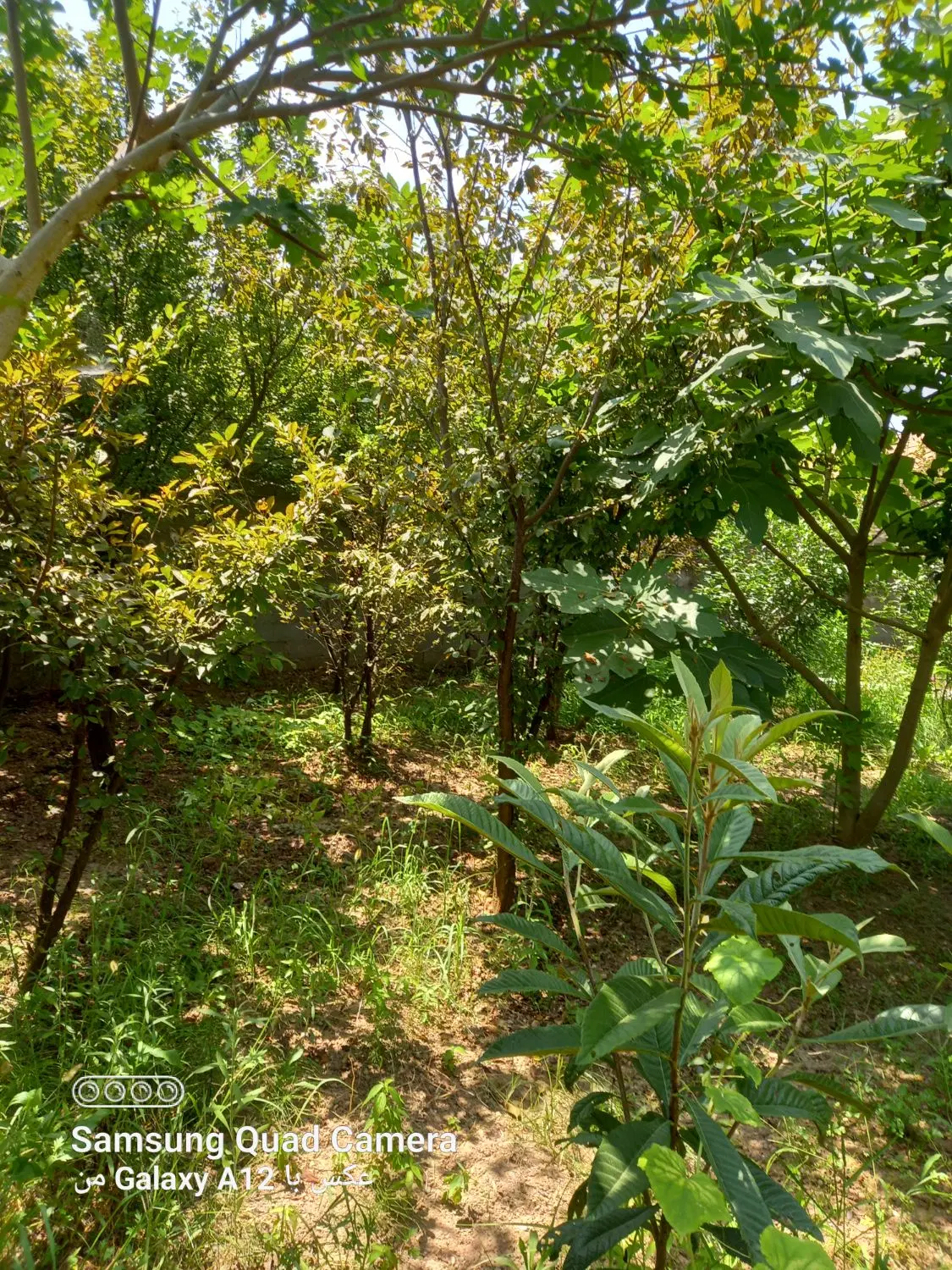 فروش زمین