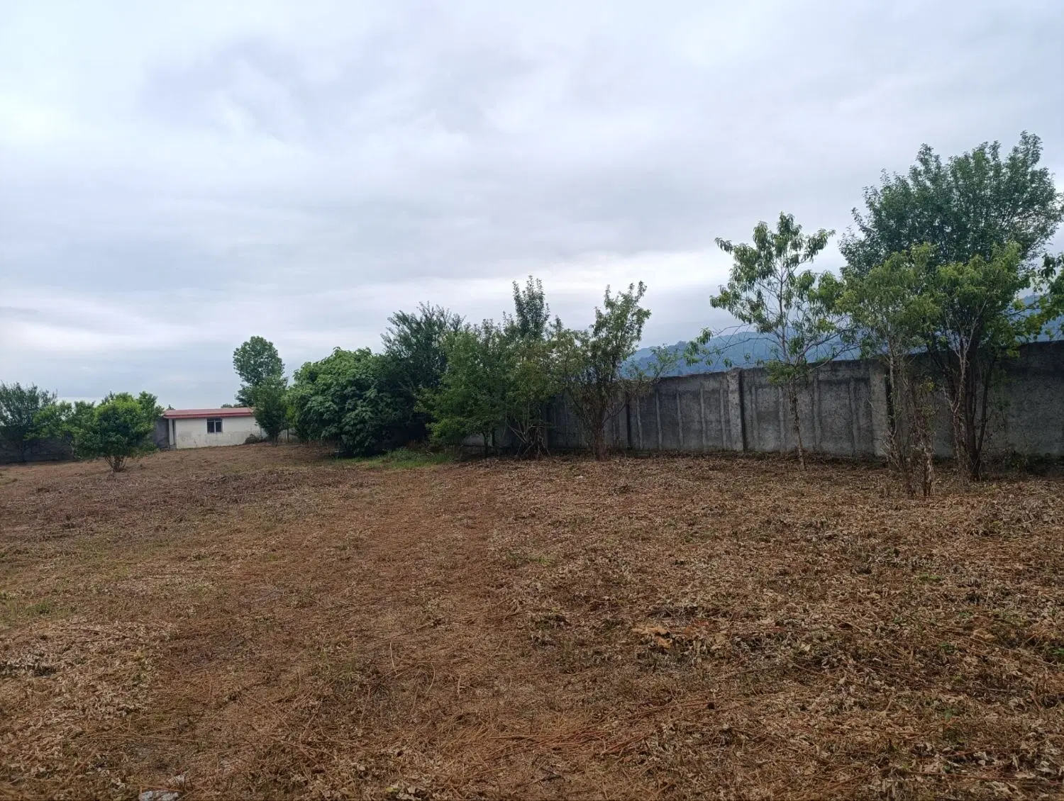 زمین جاده ابشار ویسادار  پره سر کوهپایه ای