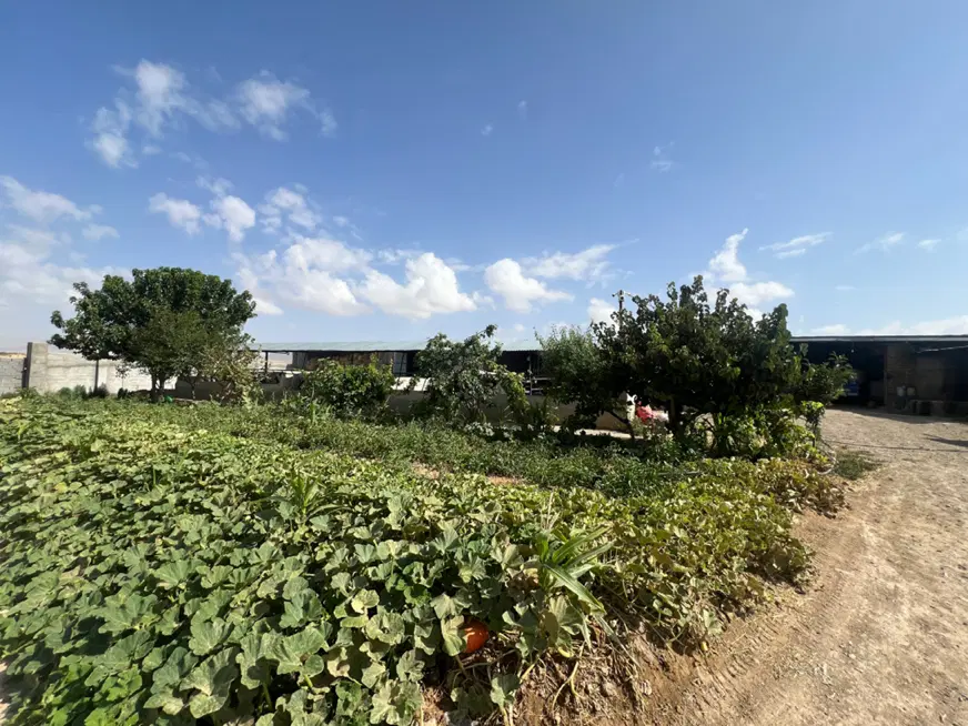 دامداری خانه ویلایی