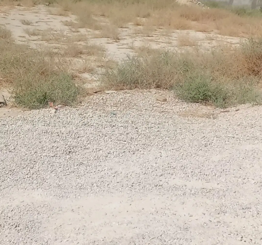 زمین خورموج