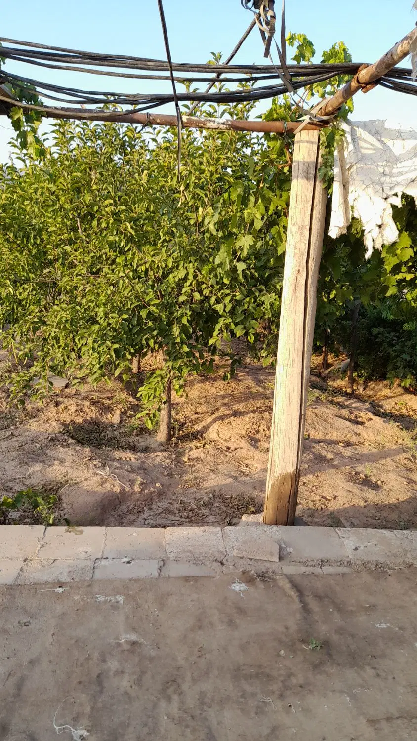 باغ در جاده باغرود