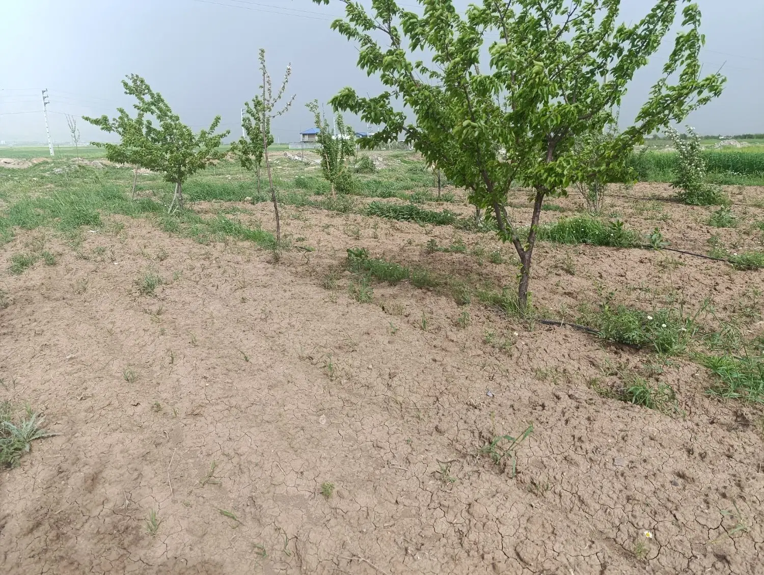 اجاره مغازه ۶۰متری الهیه