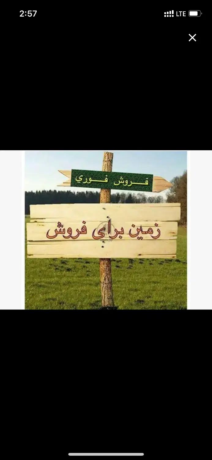 زمین قولنامه ای ریشه دار آینده دار