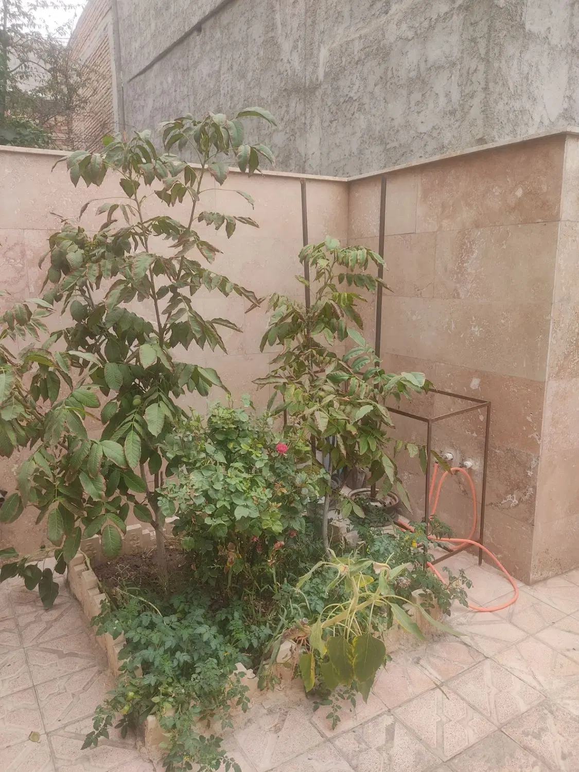 ۱۰۰ متر ویلایی جنوبی بعثت