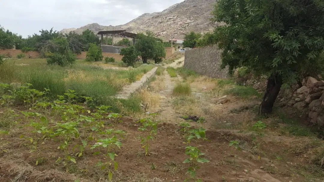 زمین سانیج 460 متر با چاه آب مناسب ساخت خانه باغ