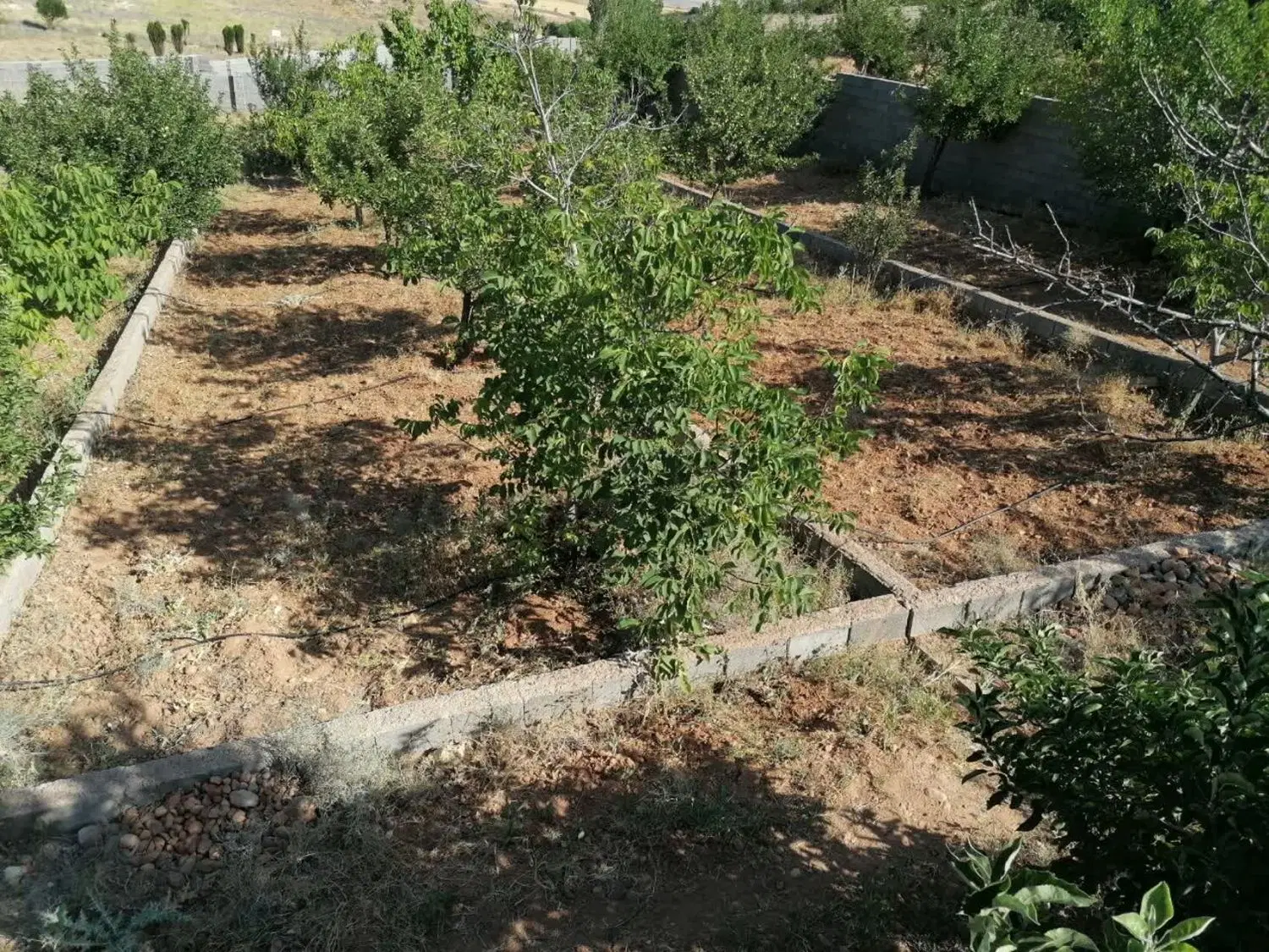 باغ شهری دو راهی قره چمن