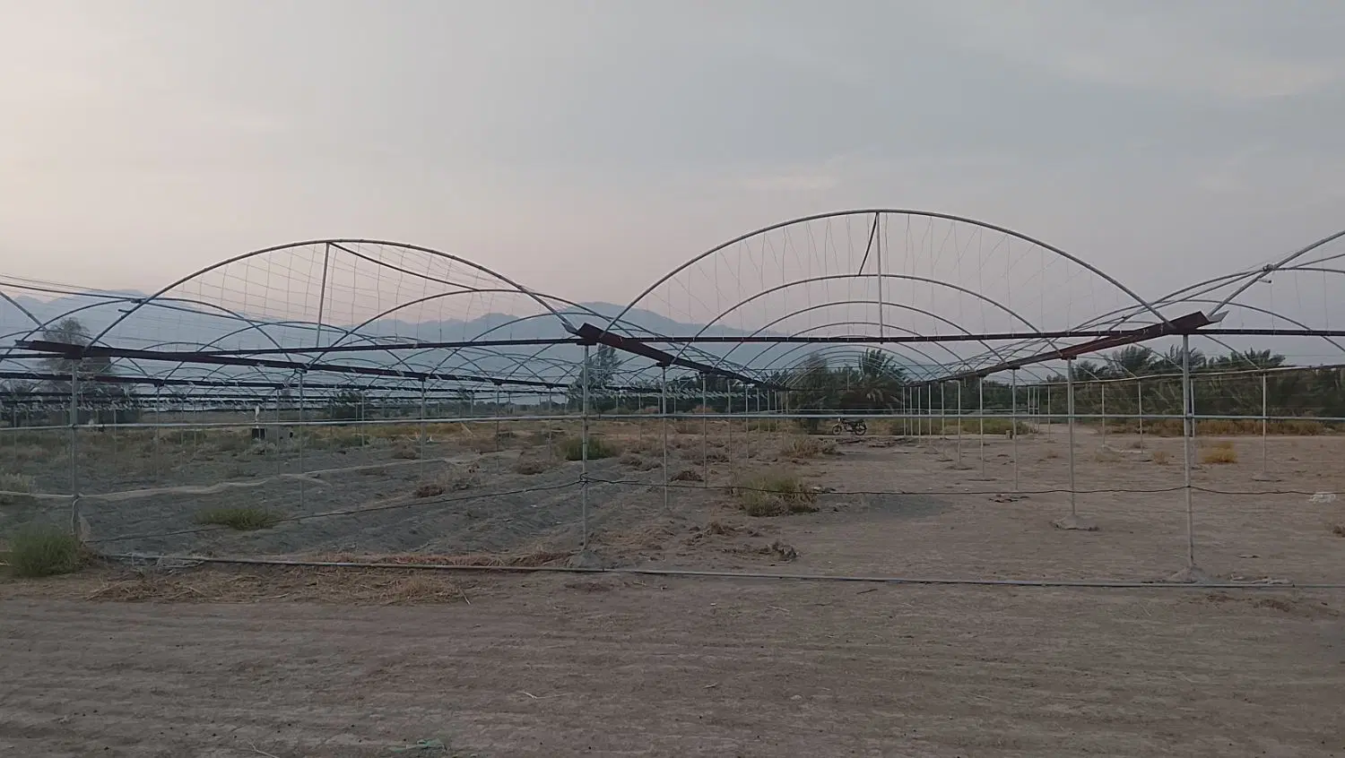گلخانه اجاره