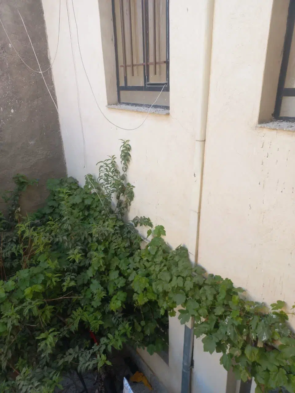 فروش مسکونی دو طبقه